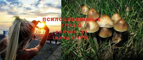 прущие крисы Лагань
