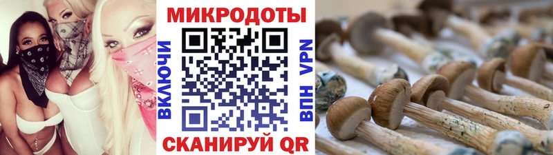 ОМГ ОМГ ONION  Медногорск  Псилоцибиновые грибы Magic Shrooms 