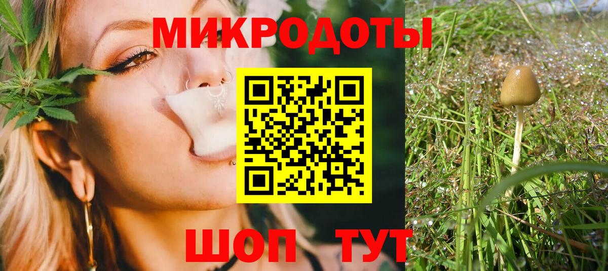 Медногорск  Галлюциногенные грибы прущие грибы  Вход с VPN 