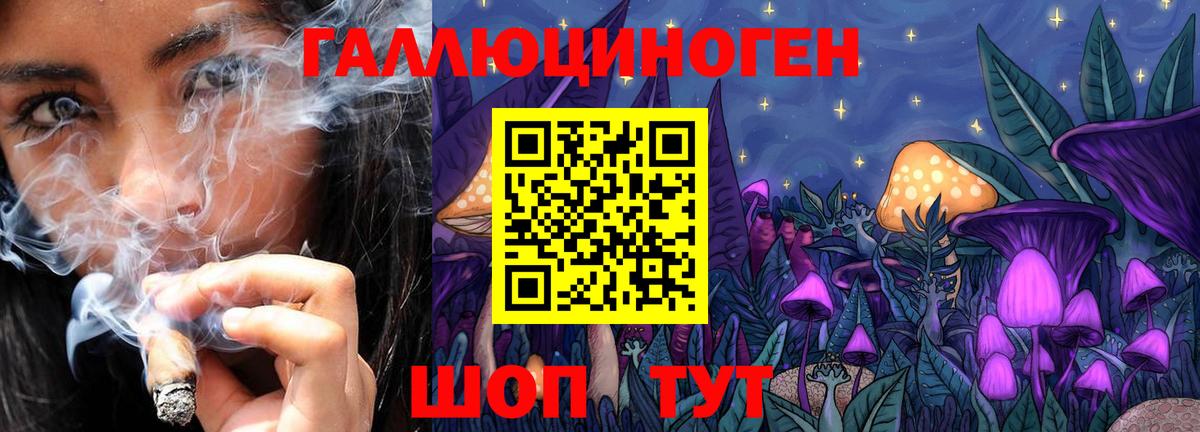 Псилоцибиновые грибы Psilocybine cubensis Медногорск